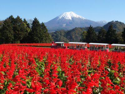 TOTTORI PREFECTURE ~TOTTORI UNIQUELY YOURS~ - NIPPON HAKU BANGKOK