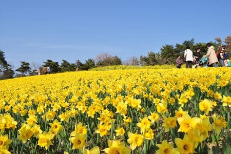 Route4-2 Hitachi Seaside