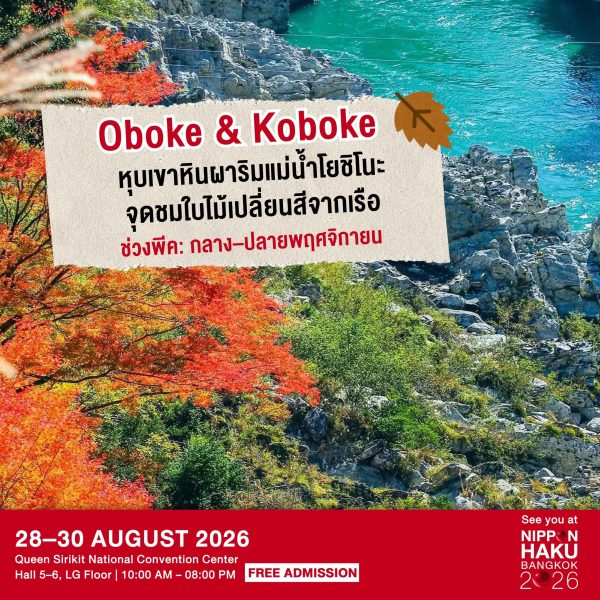 Oboke & Koboke หุบเขาหินผาริมแม่น้ำโยชิโนะในจังหวัด Tokushima จุดชมใบไม้เปลี่ยนสีจากเรือ